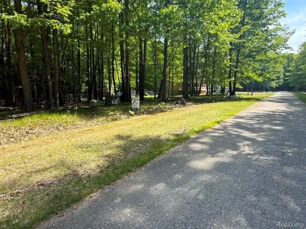 Lot 14 Towering Oaks Drive Port Austin Township MI 48467