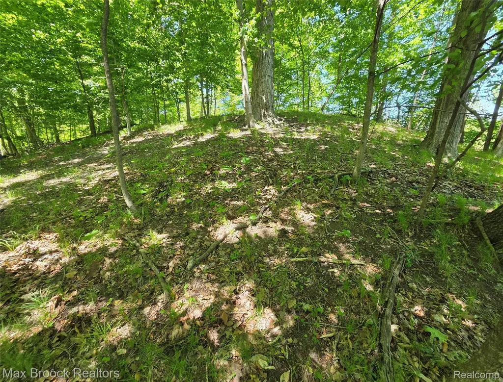 Vac Four Lakes Drive Green Oak Township MI 48178