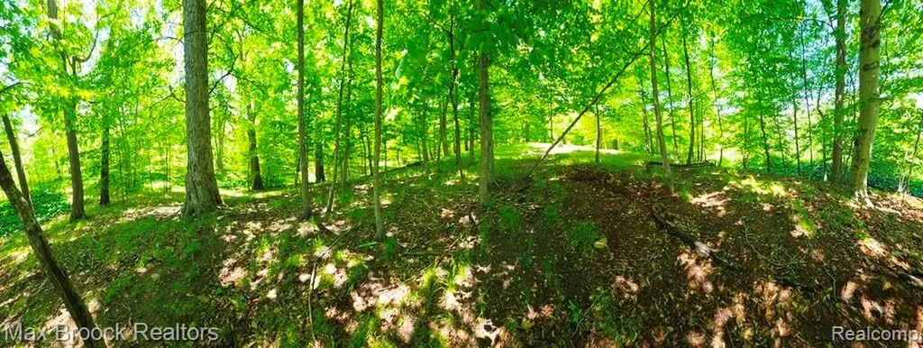 Vac Four Lakes Drive Green Oak Township MI 48178