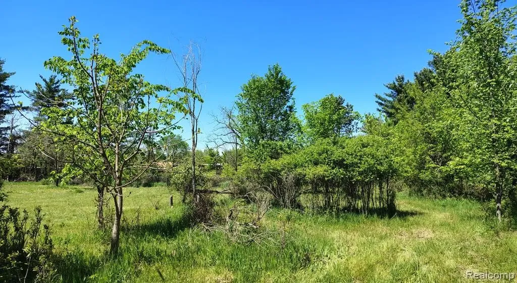 5600 Hemingway Lake Road Otter Lake Village MI 48464