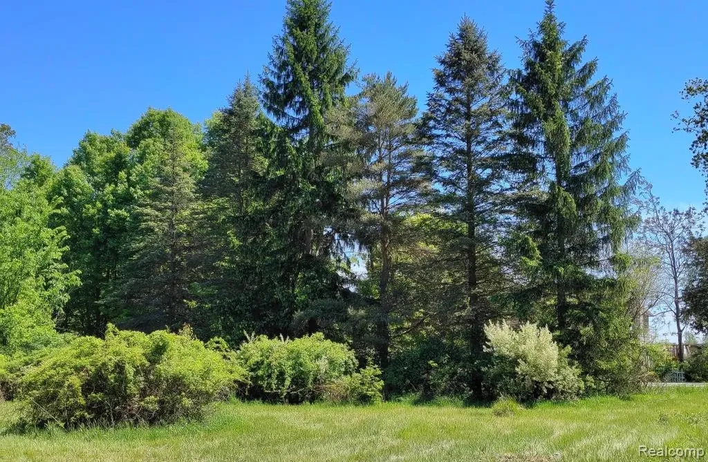5600 Hemingway Lake Road Otter Lake Village MI 48464