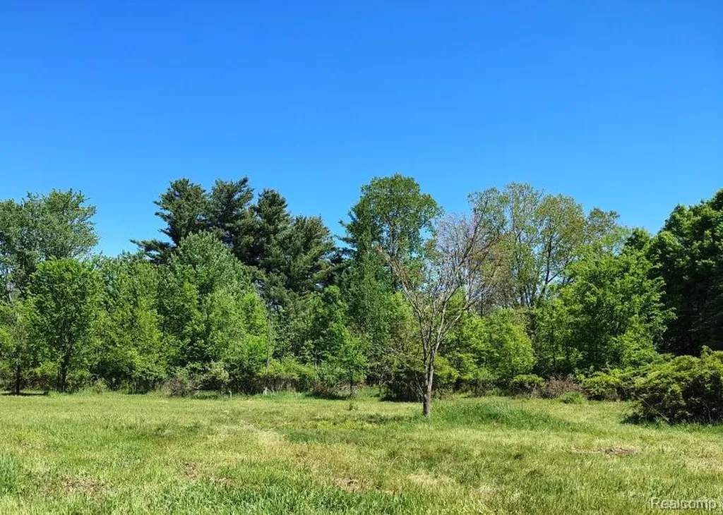 5600 Hemingway Lake Road Otter Lake Village MI 48464