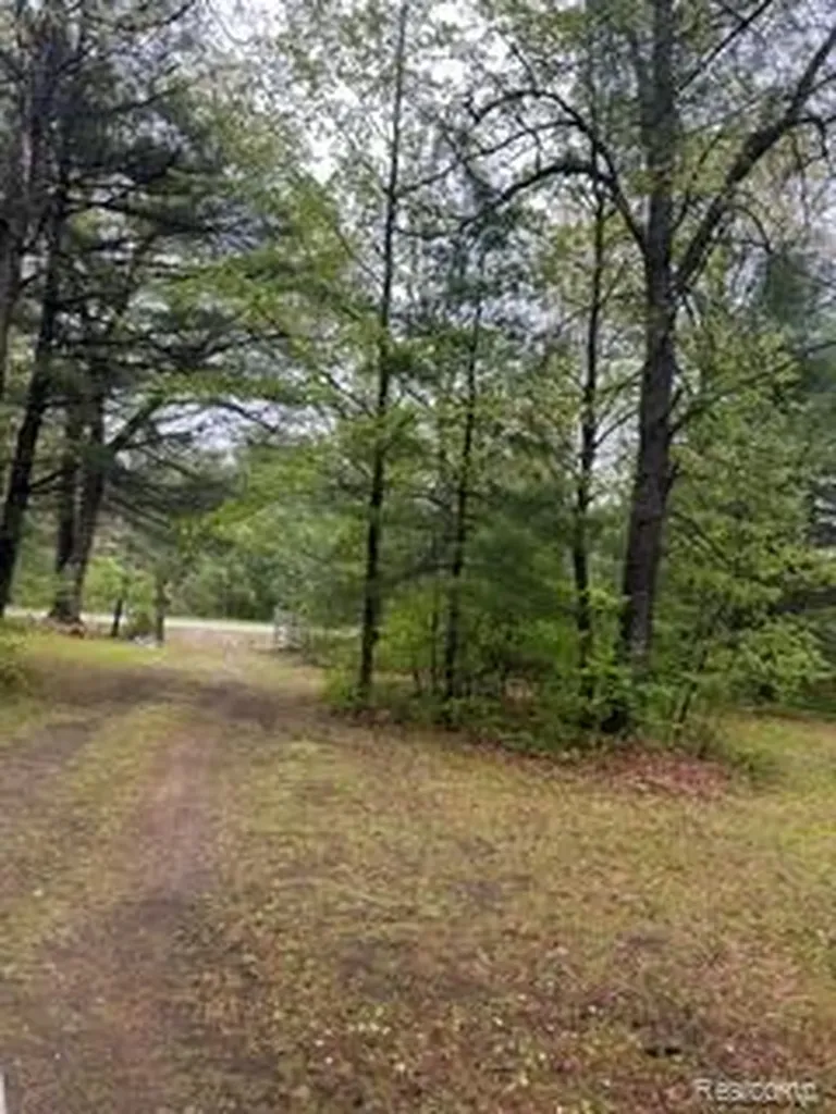 5055 Adams Road Sherman Township MI 48624