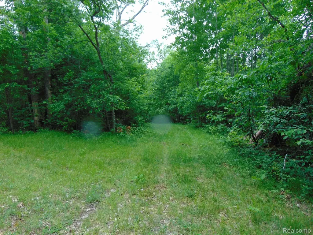 5055 Adams Road Sherman Township MI 48624
