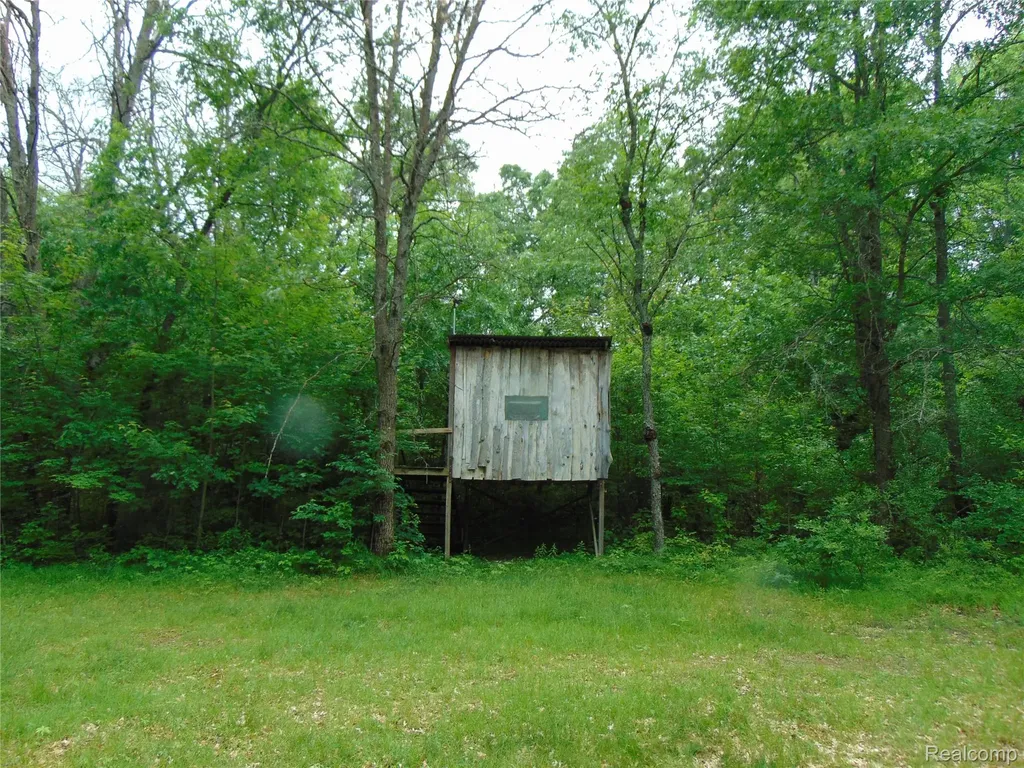 5055 Adams Road Sherman Township MI 48624