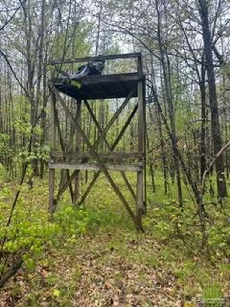 5055 Adams Road Sherman Township MI 48624