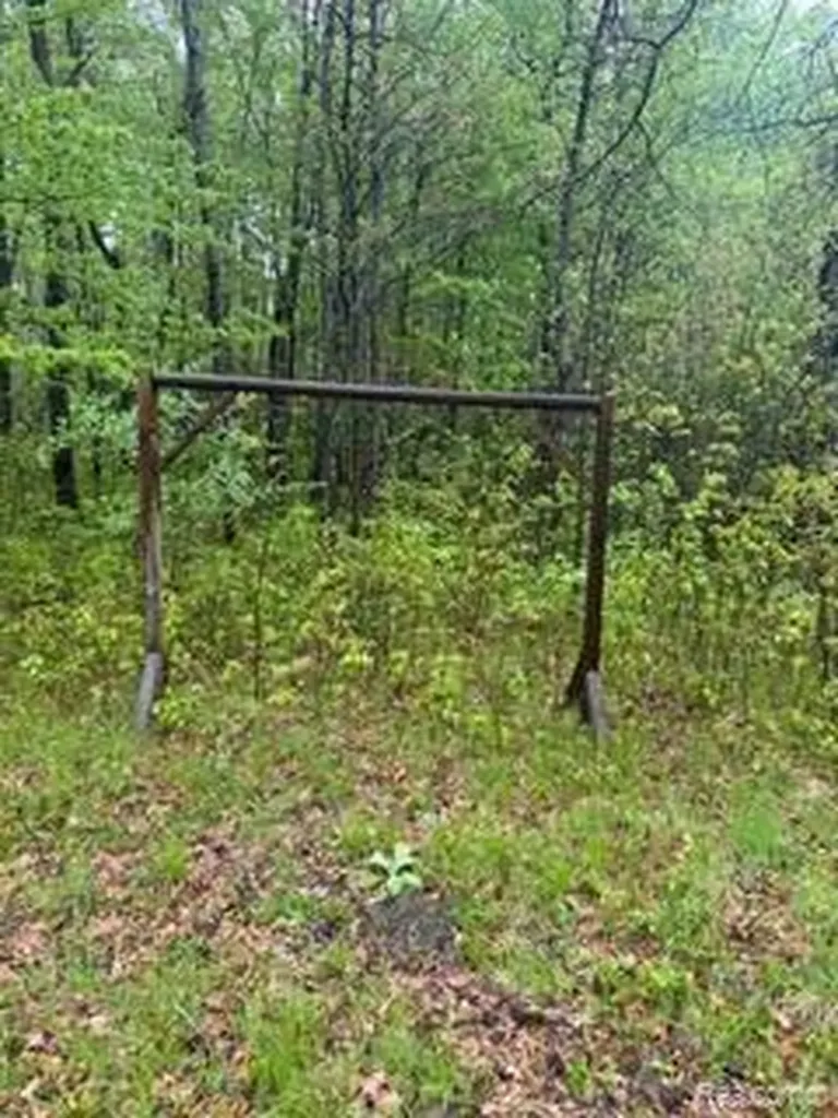 5055 Adams Road Sherman Township MI 48624