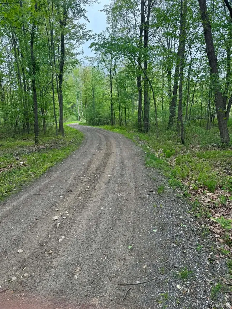 5994 N Lake Sanford Road Edenville Township MI 48657