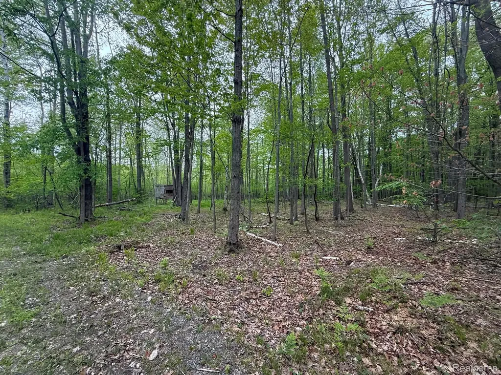 5994 N Lake Sanford Road Edenville Township MI 48657
