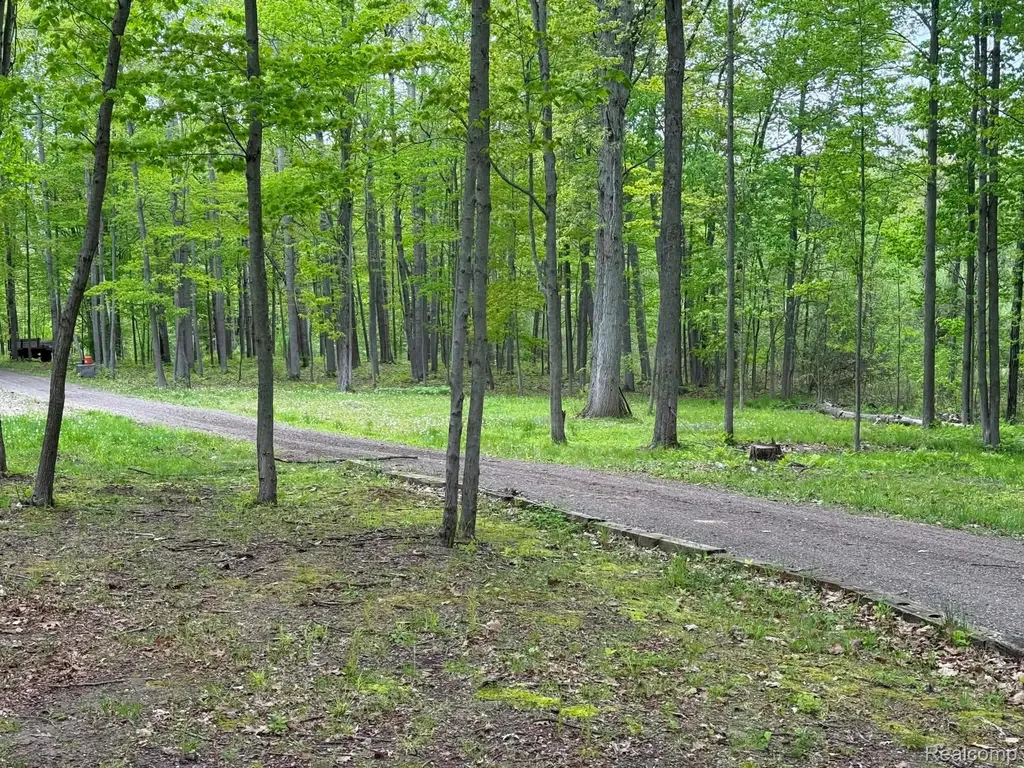 5994 N Lake Sanford Road Edenville Township MI 48657