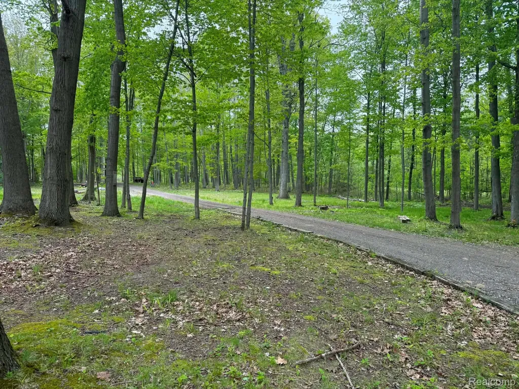 5994 N Lake Sanford Road Edenville Township MI 48657