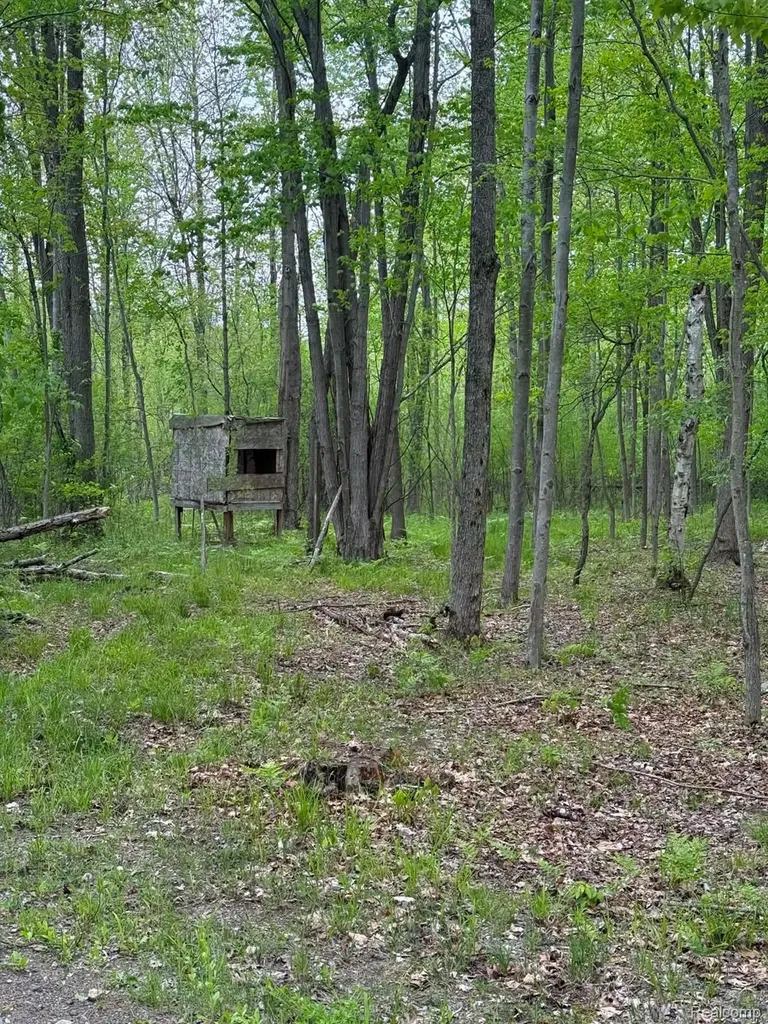 5994 N Lake Sanford Road Edenville Township MI 48657