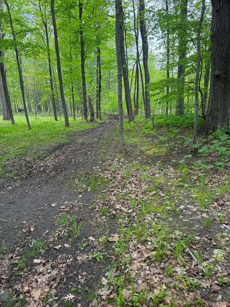 5994 N Lake Sanford Road Edenville Township MI 48657