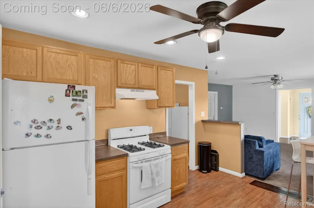 36600 Mcbride Street Romulus City MI 48174
