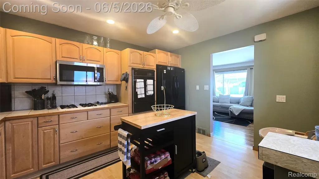 16017 Chestnut Street Roseville City MI 48066