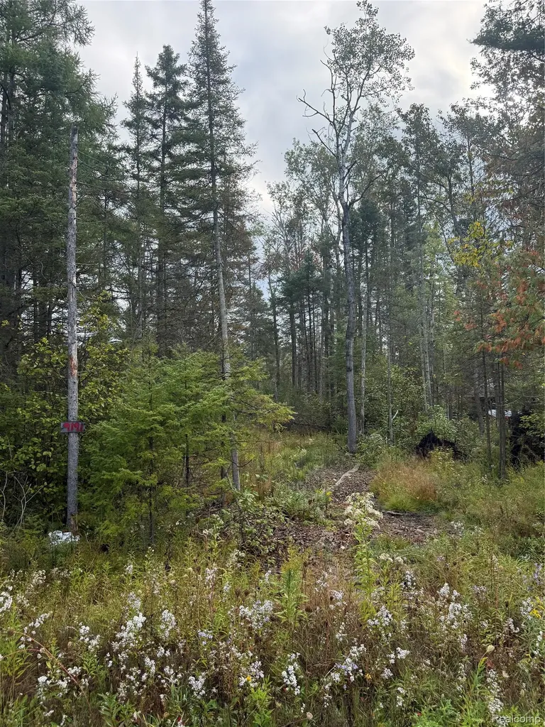 9191 M 33 Avery Township MI 49709