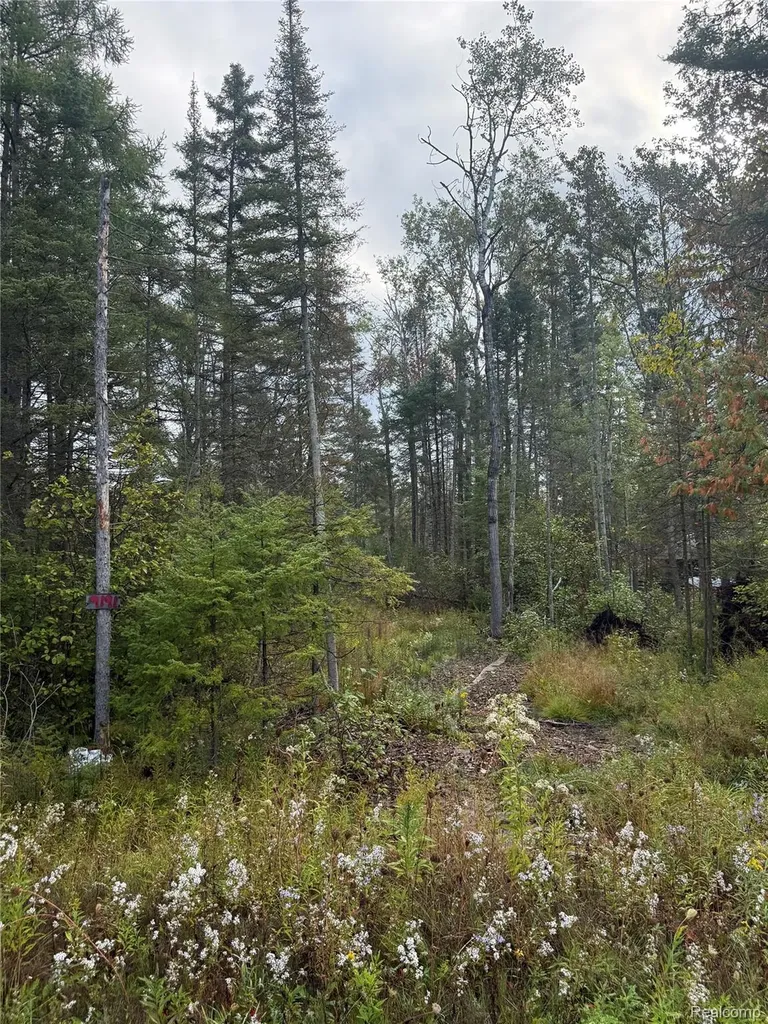9191 M 33 Avery Township MI 49709