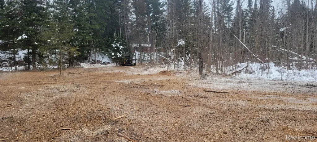 9191 M 33 Avery Township MI 49709