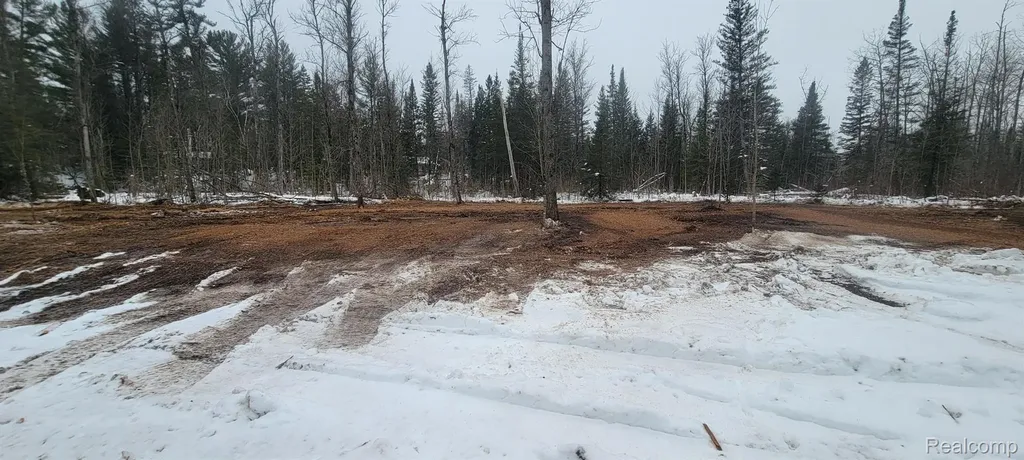 9191 M 33 Avery Township MI 49709