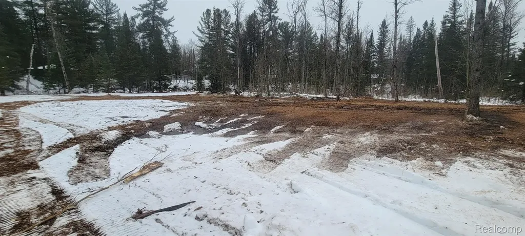 9191 M 33 Avery Township MI 49709