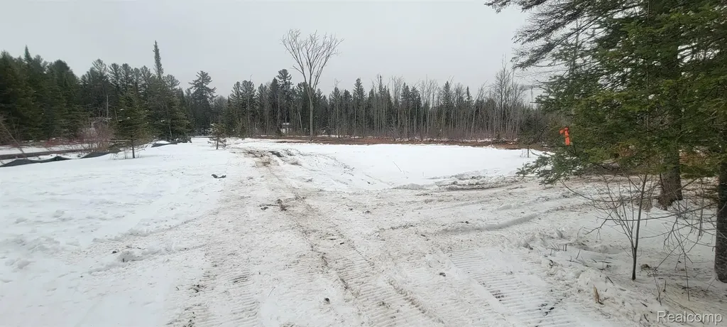 9191 M 33 Avery Township MI 49709