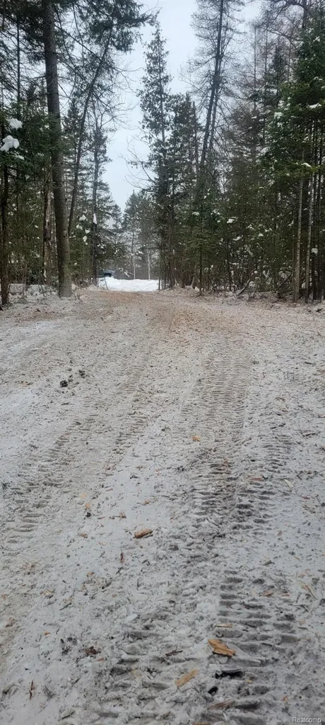 9191 M 33 Avery Township MI 49709