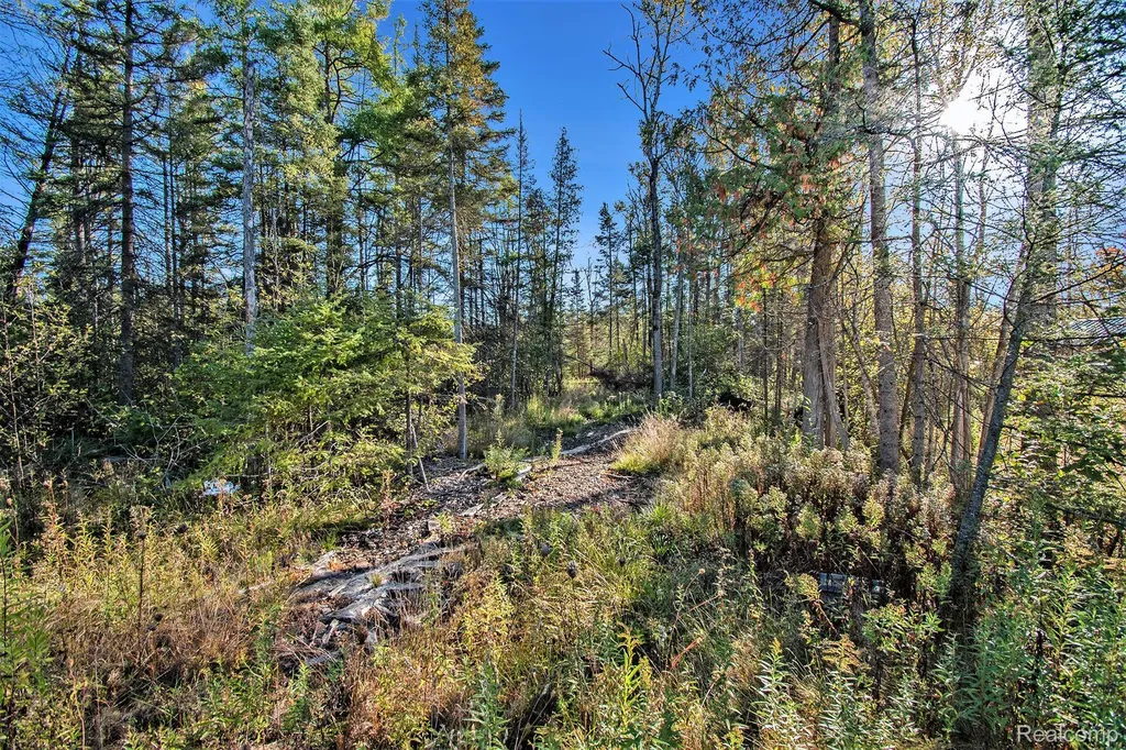9191 M 33 Avery Township MI 49709