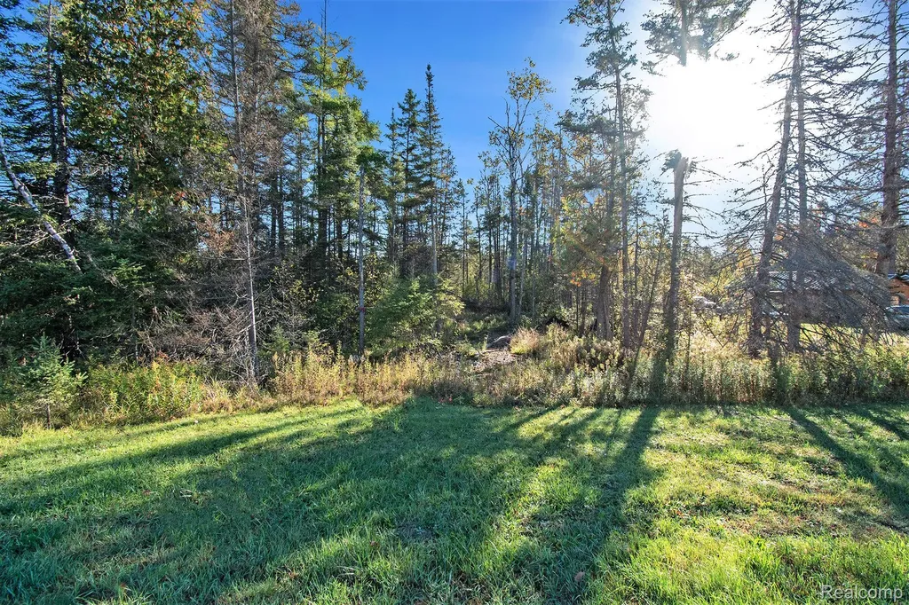9191 M 33 Avery Township MI 49709