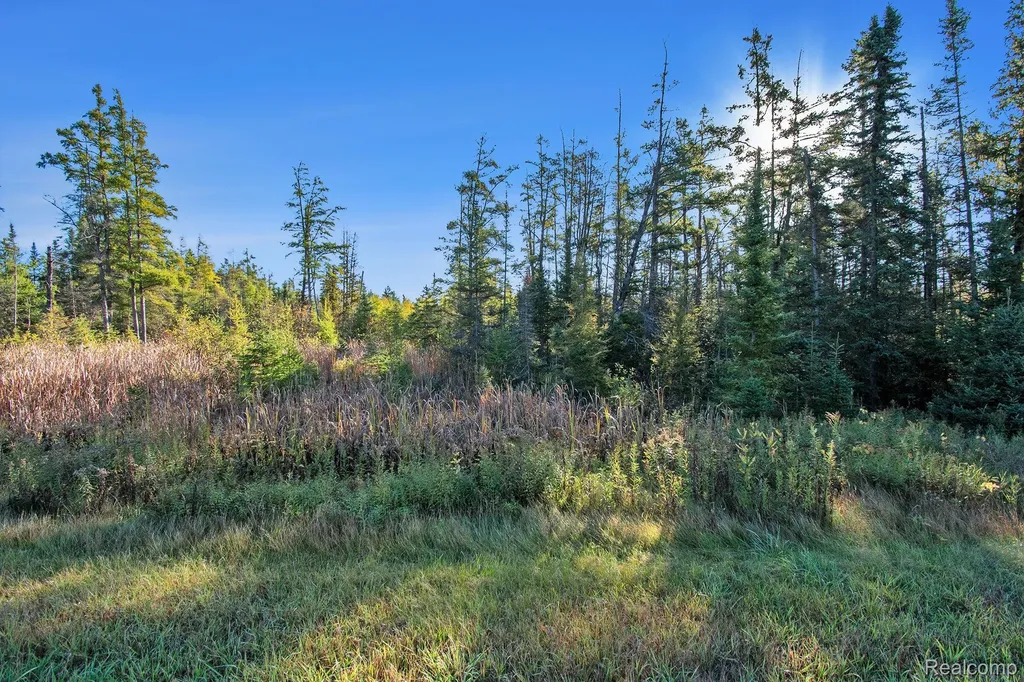9191 M 33 Avery Township MI 49709