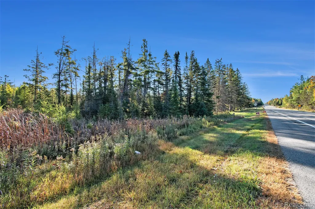 9191 M 33 Avery Township MI 49709