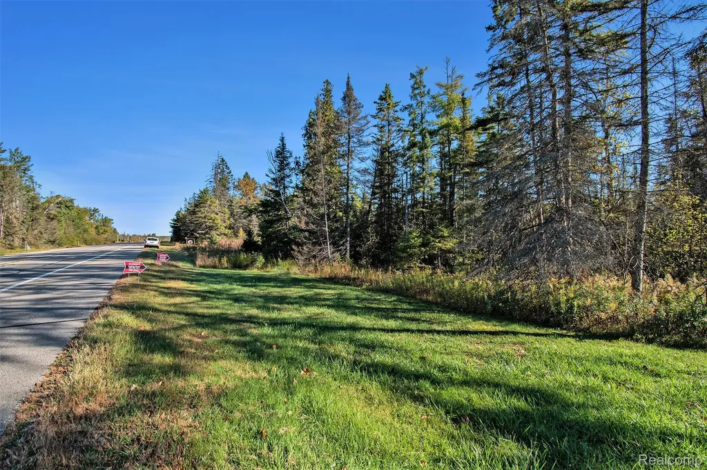 9191 M 33 Avery Township MI 49709