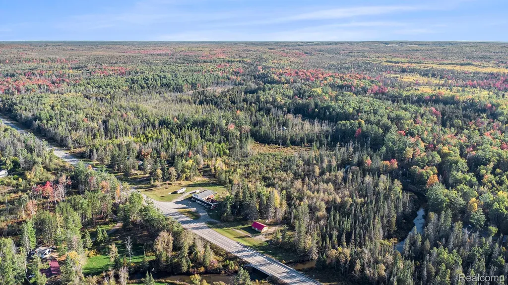 9191 M 33 Avery Township MI 49709