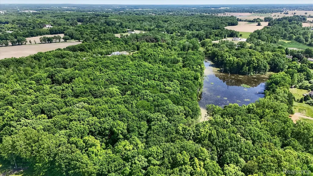 10500 W Grand River Road Handy Township MI 48836