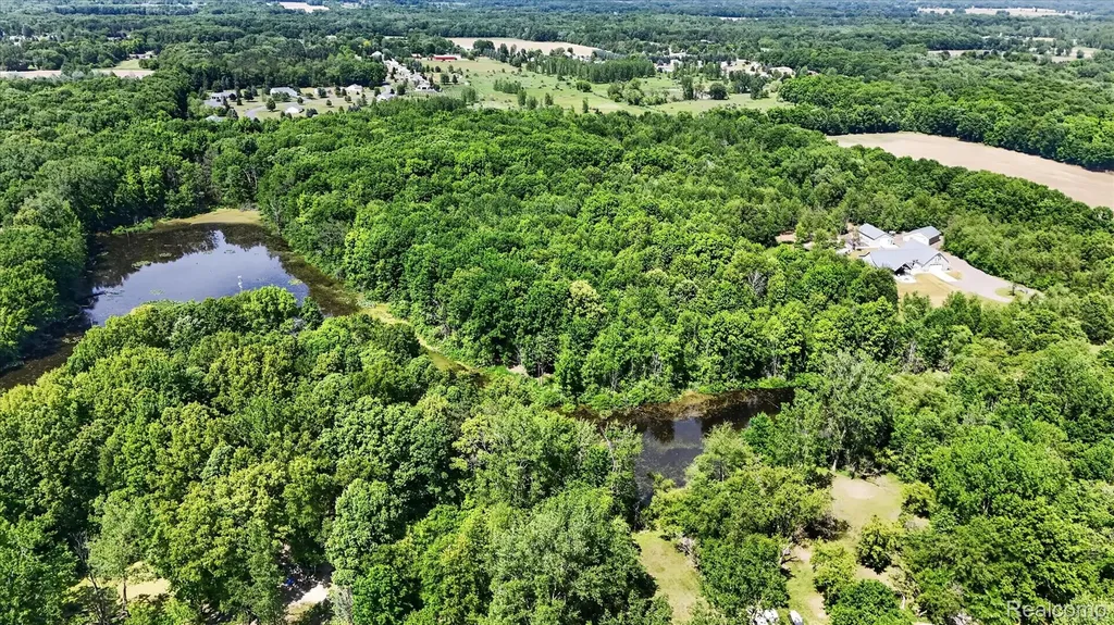 10500 W Grand River Road Handy Township MI 48836
