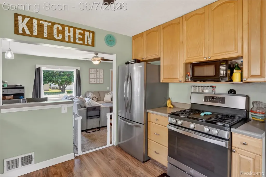 239 E Chestnut Street Webberville Village MI 48892