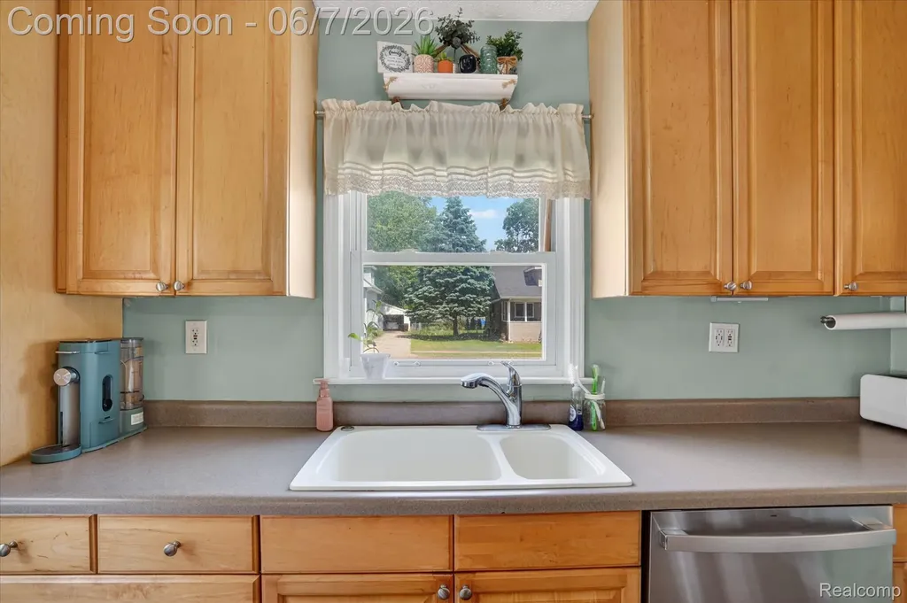 239 E Chestnut Street Webberville Village MI 48892