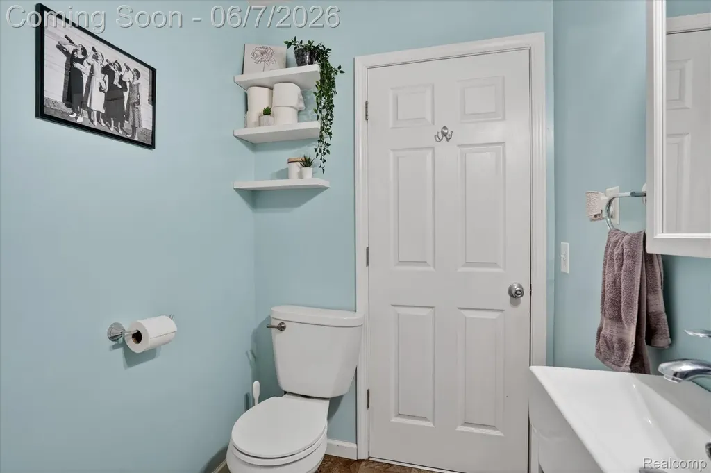 239 E Chestnut Street Webberville Village MI 48892