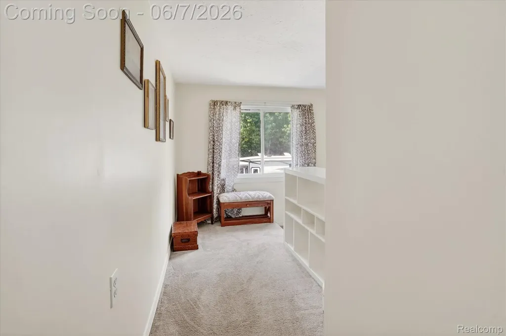 239 E Chestnut Street Webberville Village MI 48892