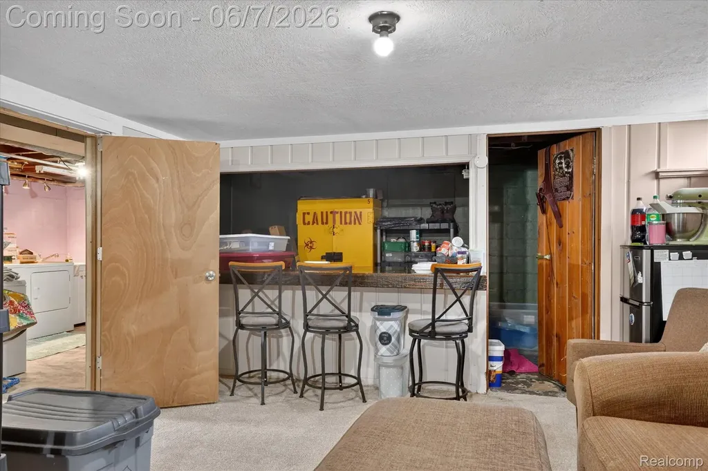 239 E Chestnut Street Webberville Village MI 48892