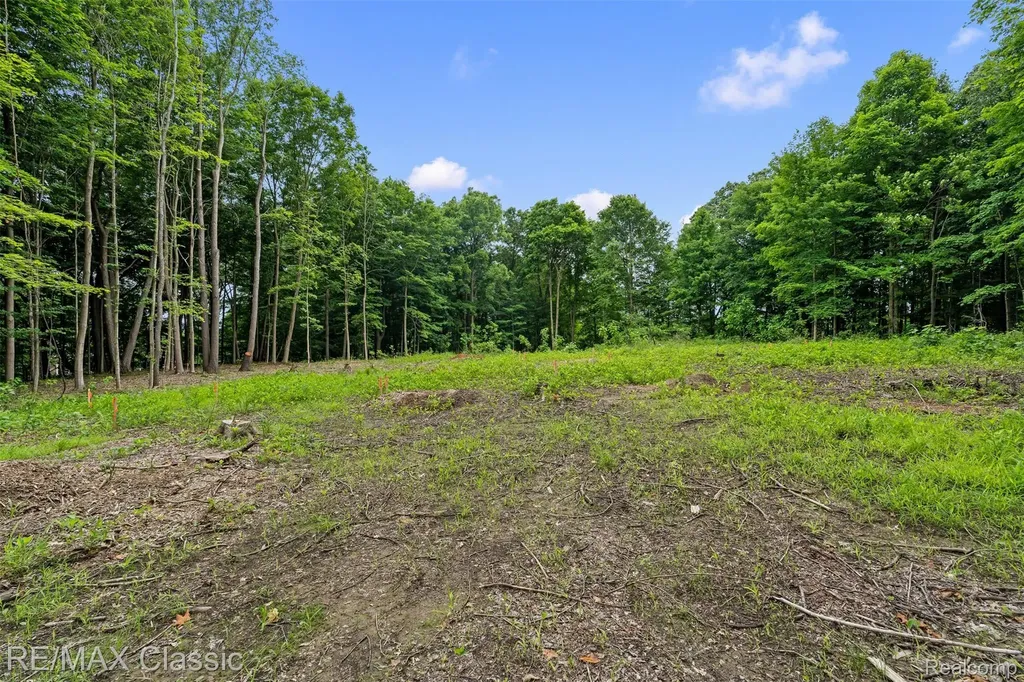 7888 N Territorial Webster Township MI 48130