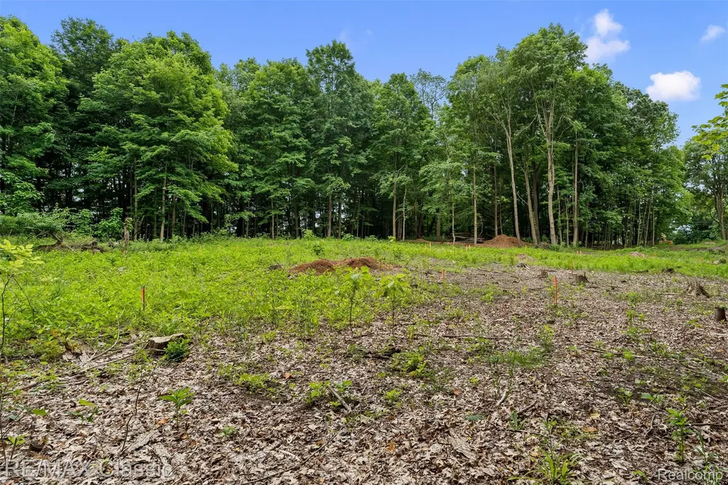 7888 N Territorial Webster Township MI 48130