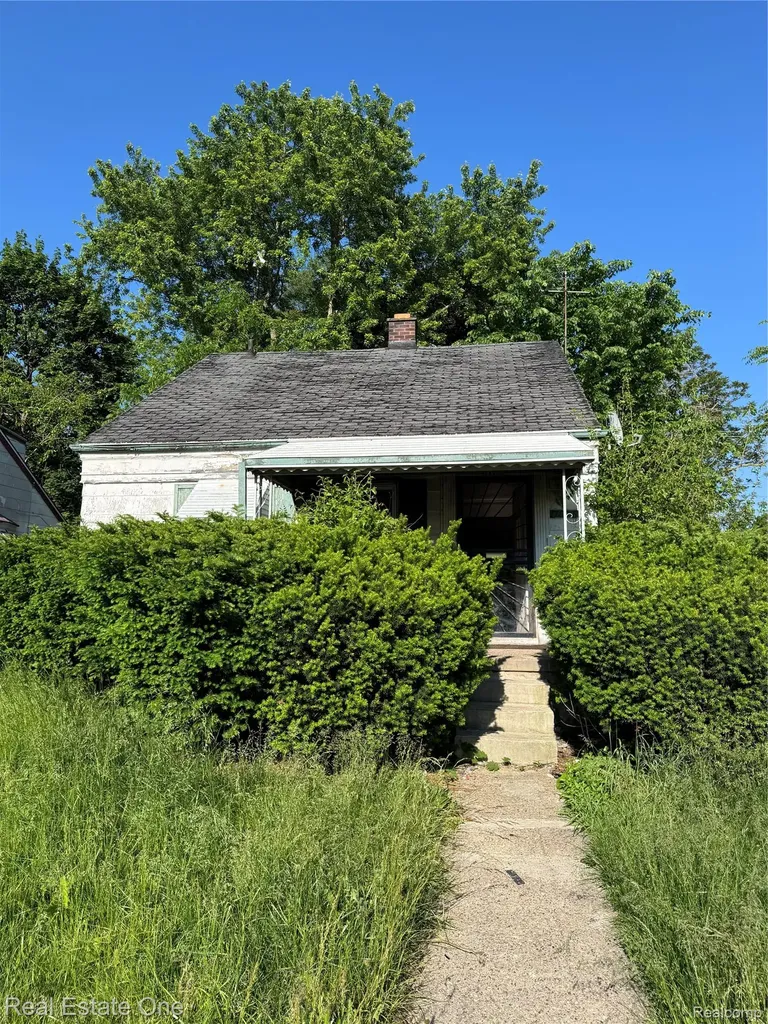 11718 Plainview Avenue Detroit City MI 48228