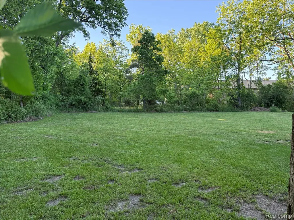 8318 Mill Pointe Court Atlas Township MI 48438