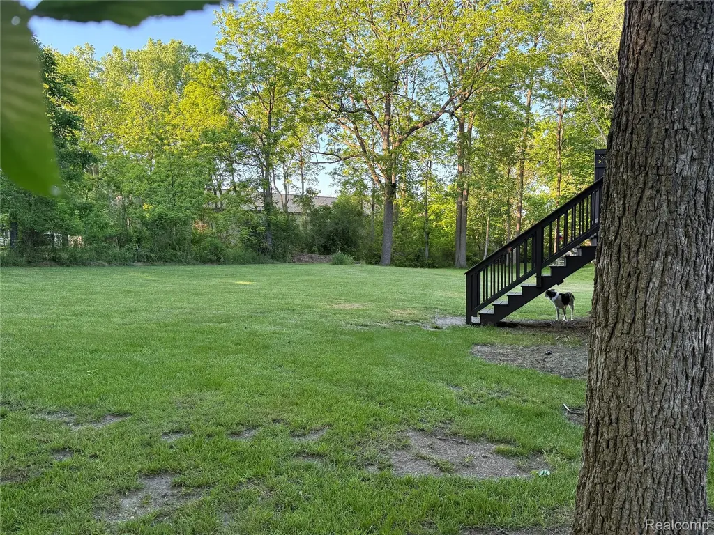 8318 Mill Pointe Court Atlas Township MI 48438