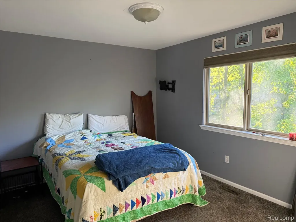 8318 Mill Pointe Court Atlas Township MI 48438