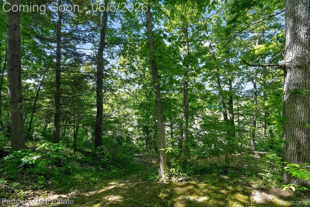 4053 Rolling Acres Drive Hartland Township MI 48353