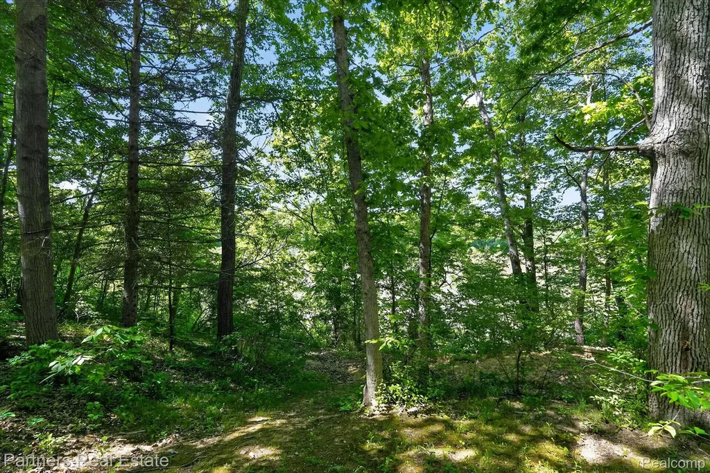 4053 Rolling Acres Drive Hartland Township MI 48353