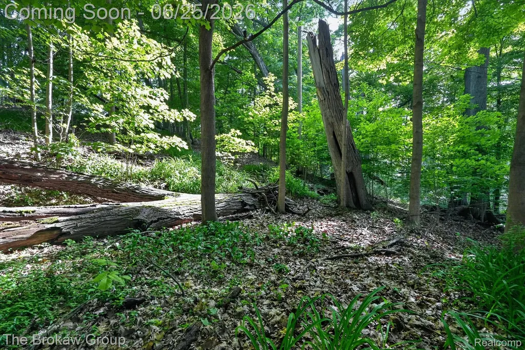 2076 Gray Park Drive Oregon Township MI 48446