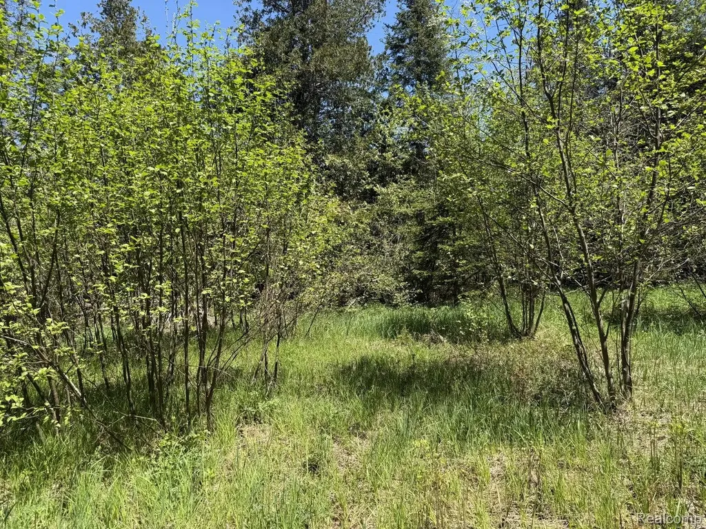9718 W Black River Road Hudson Township MI 49762