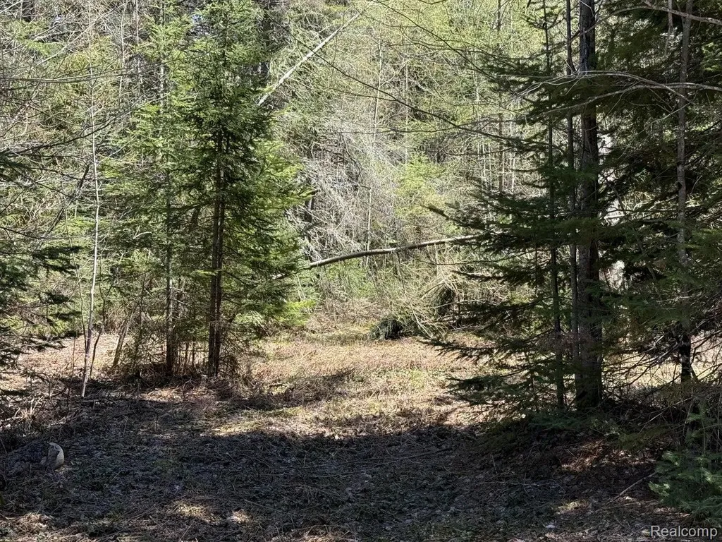 9718 W Black River Road Hudson Township MI 49762